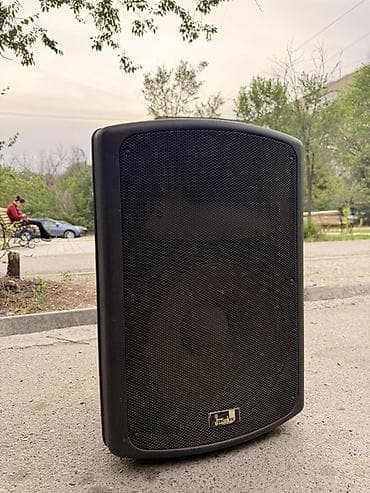 aphone x: Продаю! двухполосная акустическая система Soundking FP215. Есть торг — 5