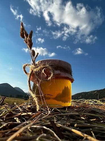 оптом товарлар: Натуральный пчелиный мёд из сот - 100% чистый продукт прямой от — 3