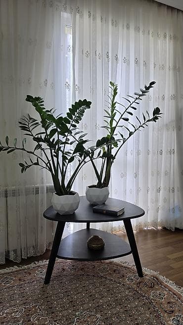 Квартиры: 2 комнаты, 53 м², Ак-Кеме (старый аэропорт) Элитка, 5 этаж, Евроремонт — 3