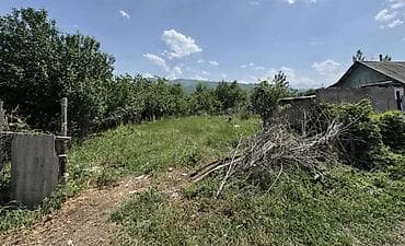 8 соток, Курулуш, Кызыл китеп — 3