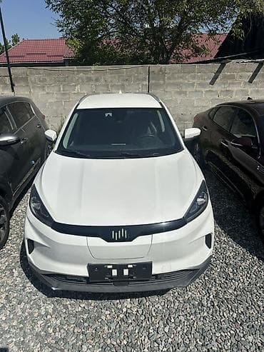 Microcar : 2020 г., Электромобиль, Кроссовер