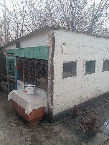 Калитки для ворот: 🏡 ПРОДАЁТСЯ ДОМ – Ленинское, ул. Алма-Атинская (на трассе) Отличный — 7