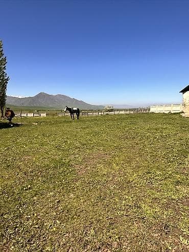 сузики вагон р: 24 соток, Для строительства, Красная книга, Договор купли-продажи — 5