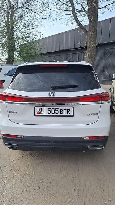 infinity qx: Changan CS75 Plus: 2025 г., Кроссовер — 3