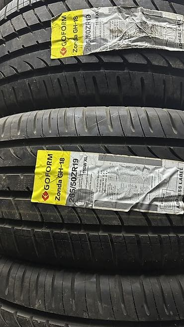 65 style: Шины 225 / 60 / R 18, Лето, Легковые, Goform — 5