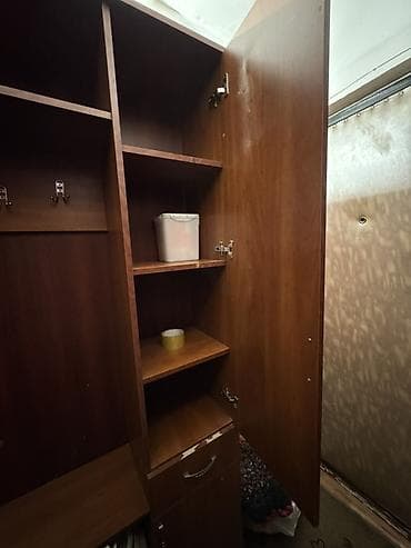 Лакокрасочные материалы: Шкаф-прихожая, С зеркалом, ЛДСП — 3