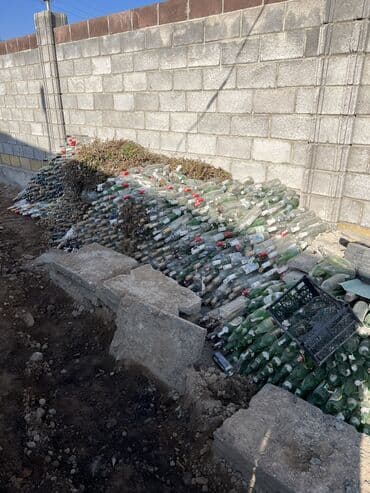 мишалка бетонный: Бутылки — 1