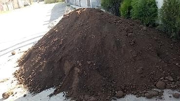 продам яблоки: В тоннах, Бесплатная доставка, Зил — 4