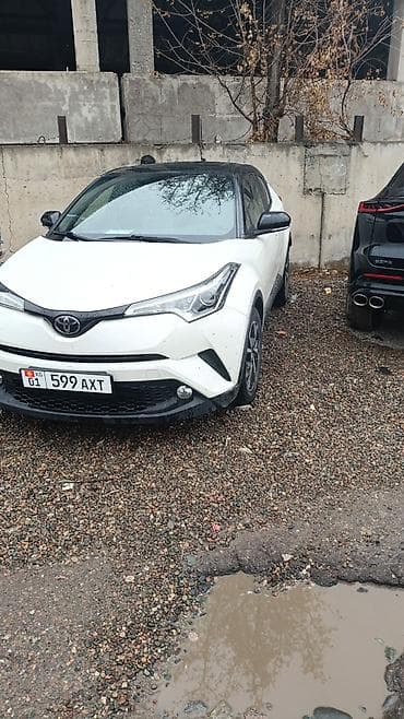 Транспорт: Toyota C-HR: 2019 г., Автомат, Бензин, Кроссовер — 2