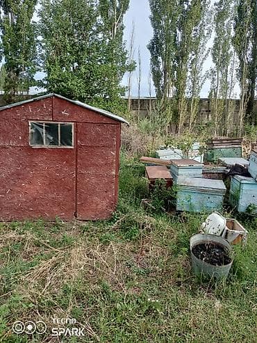 Недвижимость: Пасека/пчелохозяйство: деревянные ульи - Комплект ульев разных цветов — 4