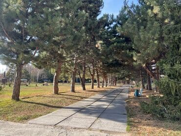 una laguna иссык куль: Батир, | Кыргызское взморье, Бостери, Бассейн, Бильярд, Коргоодогу аймак — 13