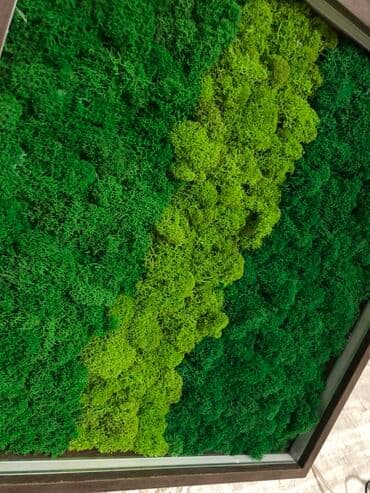 кызыл май свечи в бишкеке: МОХ — 4