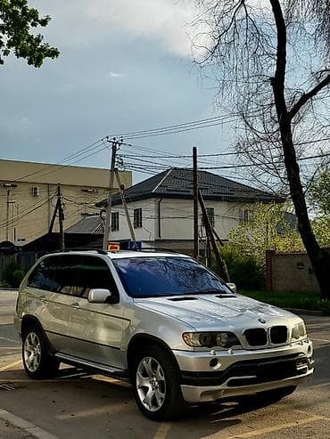 BMW: BMW X5: 2002 г., 3 л, Автомат, Дизель, Кроссовер — 2