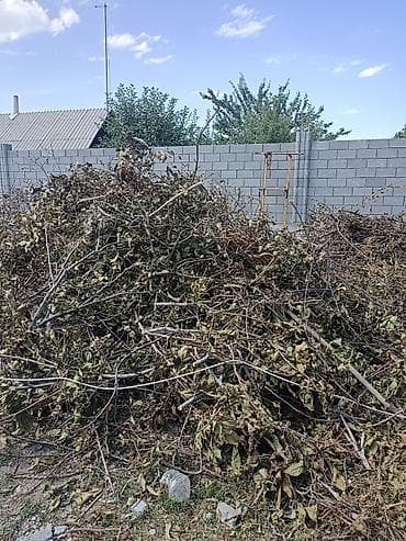 фруктовый дрова: Дрова Фруктовая древесина — 3