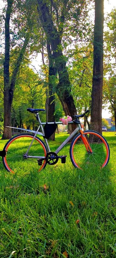 починка велосипедов: Городской велосипед, Tsunami, Рама XL (180 - 195 см), Б/у — 7