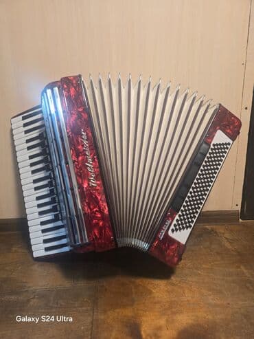 турник для дома бу: Аккордеон Weltmeister Cantus - Клавиатурный аккордеон (пиано-тип) — 8