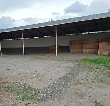 жилой дом с земельным участком: Здание, 600 м² — 6