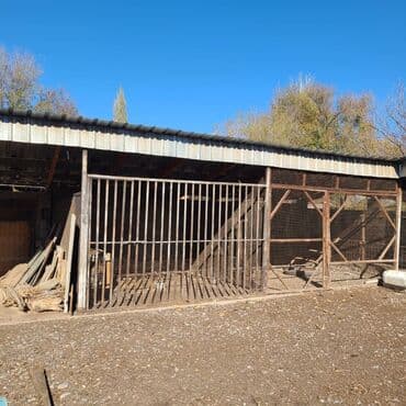 продаю дом новониколаевка: Үй, 150 кв. м, 5 бөлмө, Менчик ээси, Евро оңдоо — 32