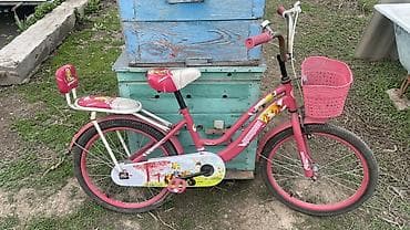 Детский велосипед, 2-колесный, 6 - 9 лет, Для девочки