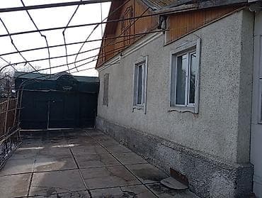 register yagody plus live: Деревянные штакетники, Покраска забора — 9