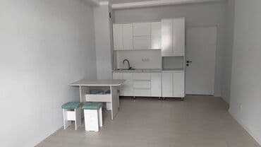 ак оргоо: Студия, Менчик ээси, Чогуу жашоосу жок, Жарым -жартылай эмереги бар — 4