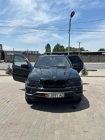 BMW X5: 2002 г., 4.4 л, Автомат, Внедорожник