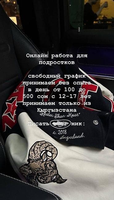 Сетевой маркетинг: Онлайн‑подработка для подростков из Кыргызстана. - Формат: работа из — 5