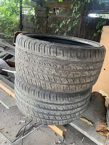 255/30/R19
