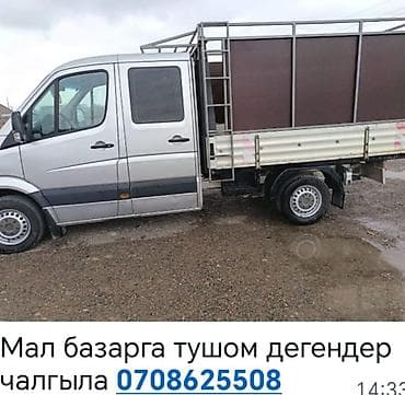скупка чёрный металл: Услуги перевозки скота на рынок. - Специализированный бортовой — 1