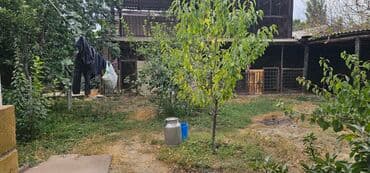 продаю дом киркомстрой: Үй, 200 кв. м, 5 бөлмө, Менчик ээси, Косметикалык оңдоо — 4