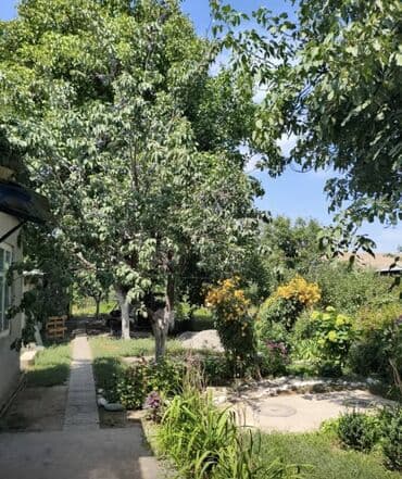 Гараждар: 9 соток, Кызыл китеп — 4