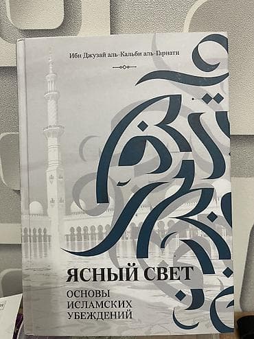 Электронная книга, Б/у