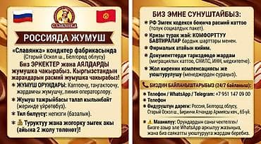 Упаковщики: Требуется Упаковщик, Оплата: Дважды в месяц, Без опыта — 1