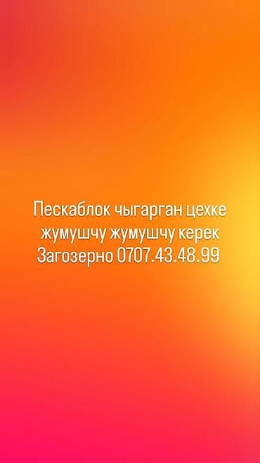 конструктор женской одежды: Требуется Разнорабочий, Оплата: Ежемесячно, Без опыта — 1