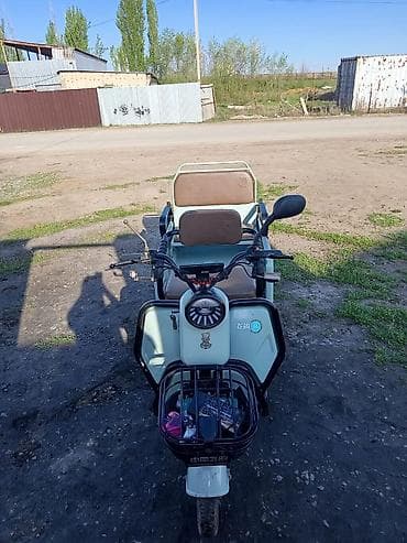 скутер 2025: Электрический трёхколёсный скутер-трицикл Flying Pigeon - Компоновка — 3