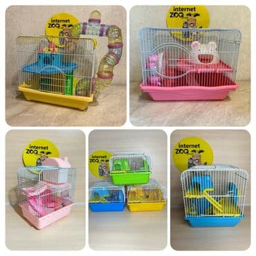 морской свин: ХОМЯЧОК+КЛЕТКА с поилкой, кормушкой, беговое колесо+КОРМ+ОПИЛКИ. Весь — 5