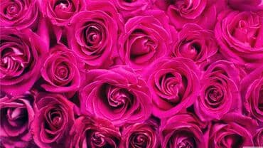 шпатель для натяжных потолков: Керме шыптар Жылтырак, Жылтырабаган, 3D потолоктор Акысыз ченөө, Кепилдиги, Акысыз консультация — 3