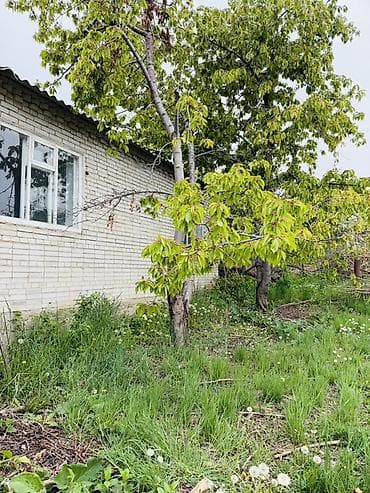 дом участка: Продается дом с мансардой в с. Бактуу-Долоноту. Продается дом с — 6