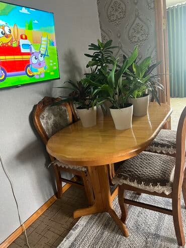 стол качественный: Зал үчүн үстөл, Колдонулган, Бүктөө, Oval — 1