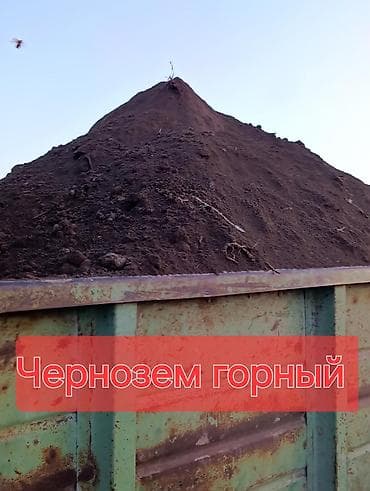 Үй жана бакча үчүн баардык: Тонна менен, Зил, Камаз, Хово — 2
