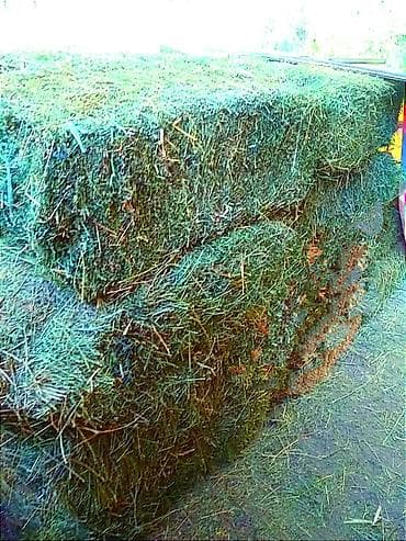 Продам тюки в перемешку с камышами остались последние 16 тюков!