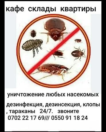 бассейн с шарами: Токмок Токмок Токмок Кант БишкекПрофессиональная обработка от — 1
