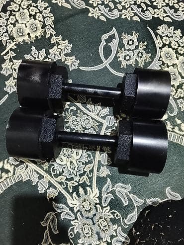 велосипед 24: Пара гантелей с неразборной конструкцией. - Материал: металл — 1