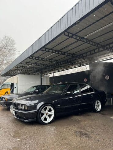 BMW 5 series: 1995 г., 3.2 л, Механика, Бензин, Седан