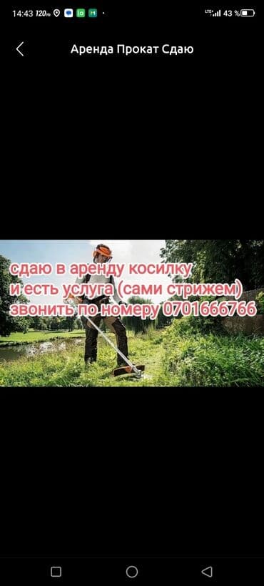 газонокосилку: Аренда Газонокосилка косилка, Косим газоны по городу и за городом — 1