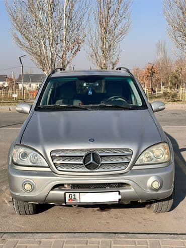 ml 163: Mercedes-Benz M-Class: 2002 г., 3.2 л, Автомат, Бензин, Внедорожник — 2