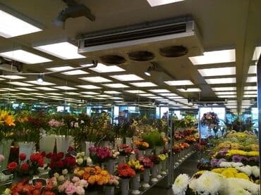 холодильники куплю: Установка холодильного оборудования для цветочных магазинов, бутиков — 2