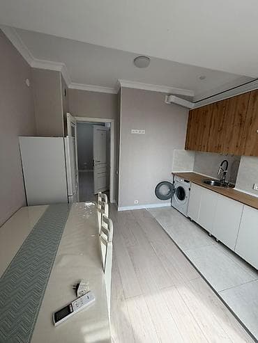 Сдаётся 1 комнатная квартира с отдельной кухонной зоной и санузлом — 1