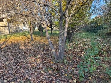 ишу земельный дом кок жар: 27 соток, Для строительства, Красная книга, Тех паспорт — 8