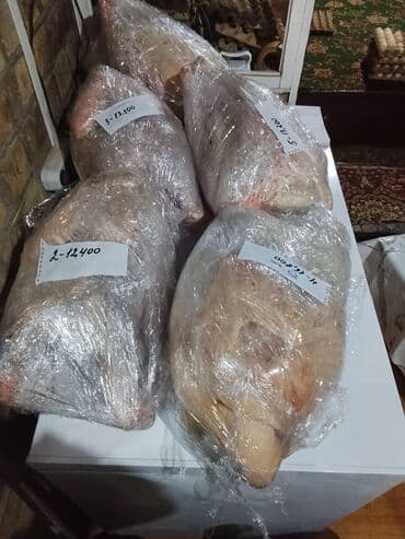мясо токмок: Күрп :, 10 кг ашык — 4